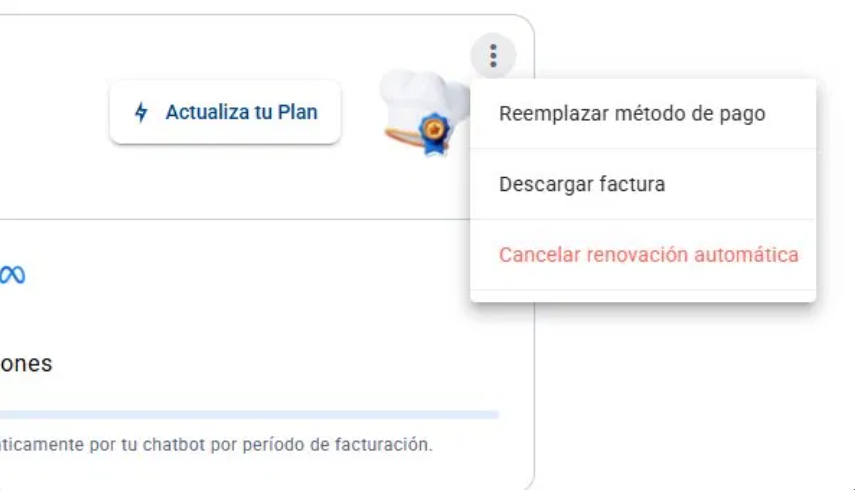  Menú de tres puntos del plan activo mostrando las opciones Reemplazar método de pago, Descargar factura y Cancelar renovación automática.